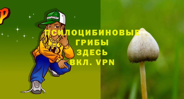 mdma Новодвинск