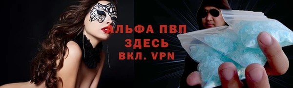 прущий лед Новозыбков