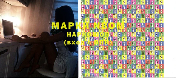 прущий лед Новозыбков