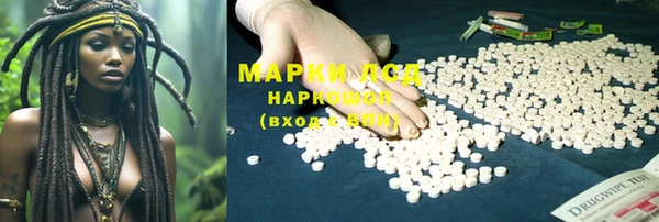 прущий лед Новозыбков