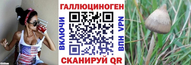 Псилоцибиновые грибы прущие грибы  Купить закладки  Кызыл 